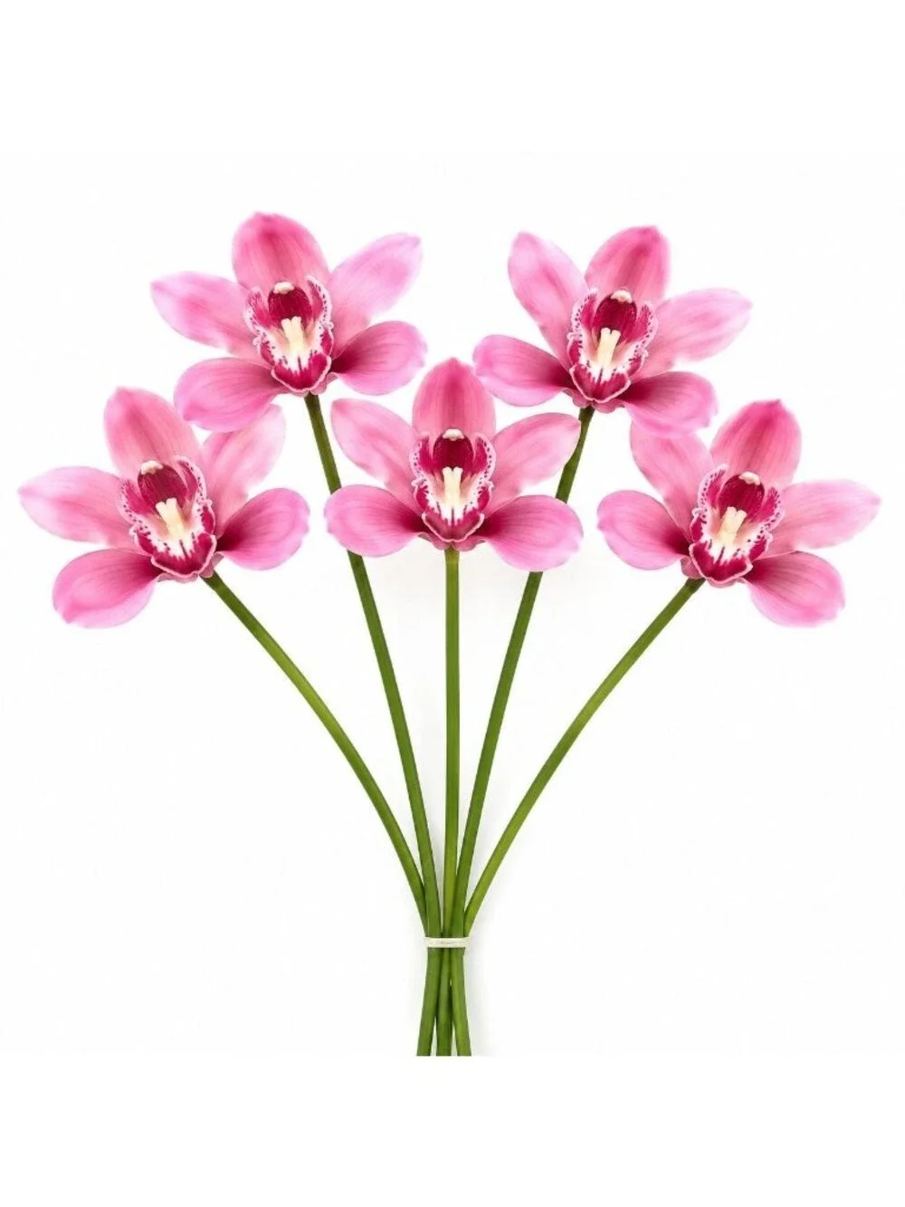 Artificial Cymbidium Orchid Stems Soft Pink Rose Burgundy Faux Orchid Bouquet Re